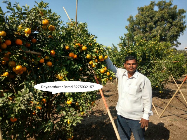 Green Planet Bio Products Ahmednagar Mobile  shop Ahmednagar